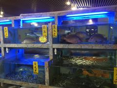 -桃源尚品海鲜酒楼(京港澳高速店)