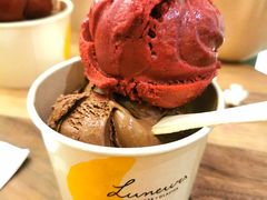 -LUNEURS月乐诗·法式冰淇淋(环贸店)