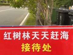 -北海金海湾红树林生态旅游区