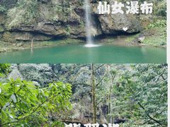 -龙苍沟森林公园