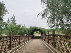 -同里国家湿地公园