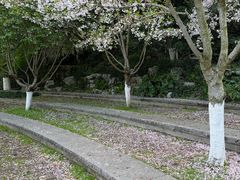 -杭州少年儿童公园