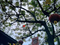 -成都市文殊院