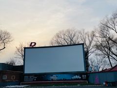 -枫花园汽车电影院(朝阳公园店)