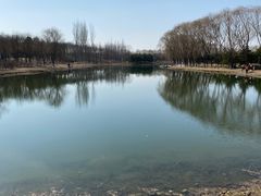 -大兴滨河森林公园