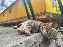 -宝通禅寺