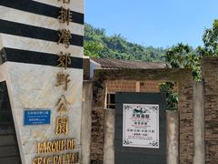-石排湾郊野公园