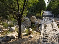 -禅宗少林·音乐大典