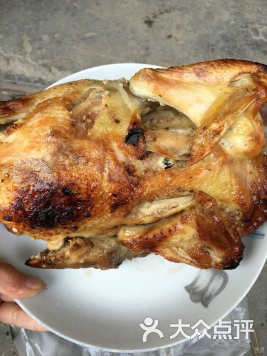 天然山庄泥焗鸡-图片-阳江美食-大众点评网