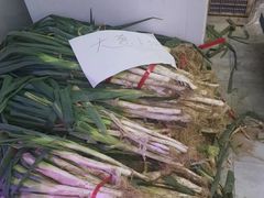 -果乐多生鲜超市(宏业广场店)