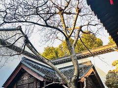 -胡雪岩故居