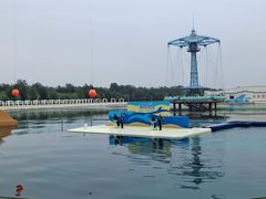 -秦皇岛乐岛海洋王国