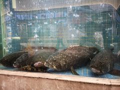 -壹品盛宴(企石店)