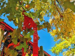 -金堂县云顶石城风景区