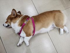 -鹿福农庄(南沙天后宫店)