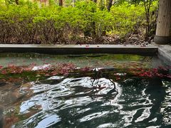 -和顺柏联温泉