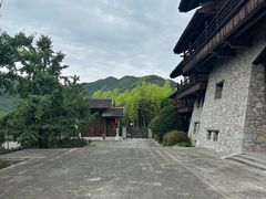 -大唐贡茶院
