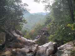 -九龙江国家森林公园