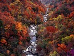 -木兰云雾山