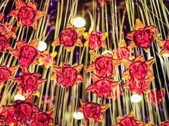 -万丽轩·粤菜(王府井金茂万丽酒店)