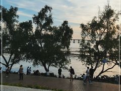 -宝安西湾红树林湿地公园