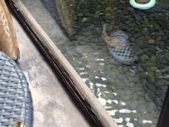 -元生咖啡(陶溪川店)