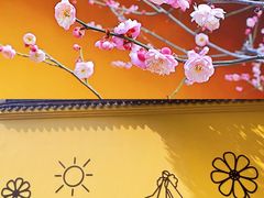 -红梅公园