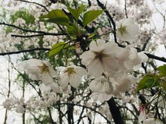 -大宁灵石公园西门票处