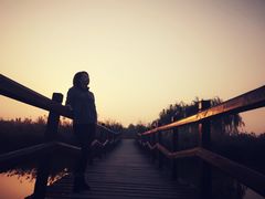 -西青郊野公园