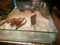 -Ministry of Crab(科伦坡店)