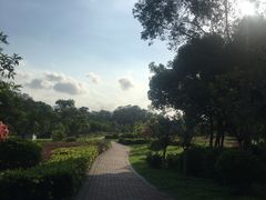 -聚龙山公园