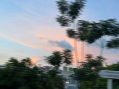 -九龙公园