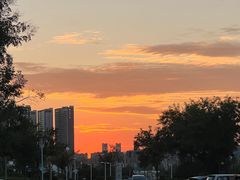 -星光岛
