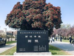 -汉景帝阳陵博物院