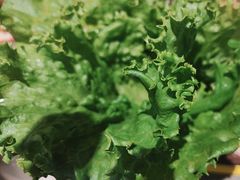 -大叹号·朝鲜族烤肉(滨海吾悦广场店)