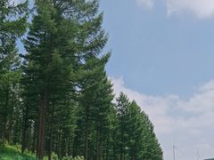 -塞罕坝国家级自然保护区