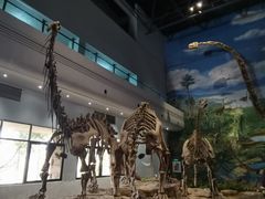 -自贡恐龙博物馆