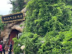 -大槐树寻根祭祖园