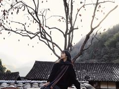 -林坑古村落