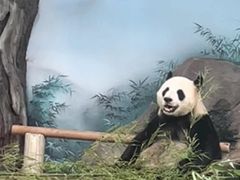 -苏州太湖国家湿地公园