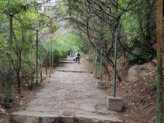 -北京鹫峰国家森林公园