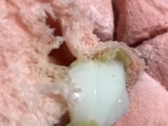 -好利来(马家堡店)