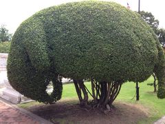 iphone_upload_pic-曼谷国家博物馆