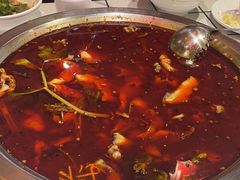 -蛙一刀·麻椒鱼火锅(金仙桥店)