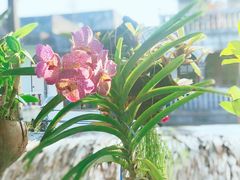 -自然餐厅(Phuket)
