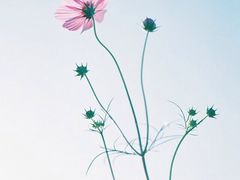 -佳兆业国际影城(鞍山店)