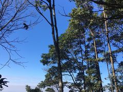 -梧桐山风景名胜区