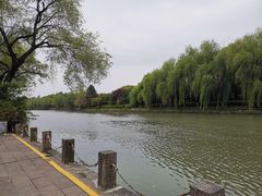 -杭州城北体育公园