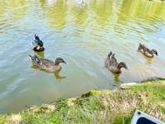 -木兰水镇旅游景区