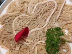 -蜀九香火锅(彩虹店)